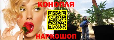 индика Кузнецк