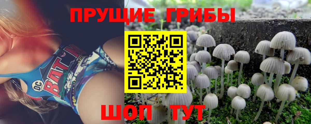 Иркутск  Псилоцибиновые грибы MAGIC MUSHROOMS  Вход с VPN 